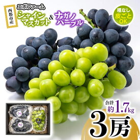 【ふるさと納税】『シャインマスカット』『ナガノパープル』詰合せ（合計1.7kg）＜66-1a＞味比べセット 宮崎県西都市産 エポファーム 先行予約