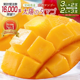 【ふるさと納税】宮崎県産 完熟マンゴー『太陽のタマゴ』（2L×3又は3L×2）西都市特産品【先行予約】令和9年収穫分 西都市産＜18-10a＞ 果物 フルーツ 先行予約