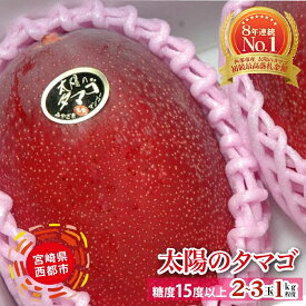 【ふるさと納税】完熟マンゴー「太陽のタマゴ」約1kg（JA西都）【令和9年収穫分】 1箱2〜3玉入り【楽天限定】糖度15度以上【先行予約受付】西都産 果物 フルーツ☆初競り金額No1＜2-2a＞