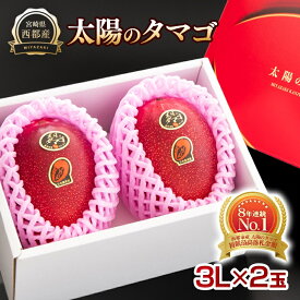 【ふるさと納税】西都市産 完熟マンゴー「太陽のタマゴ」3L×2玉 2027年収穫分 宮崎県 化粧箱入り「先行予約」＜26-6a＞ 果物 フルーツ US