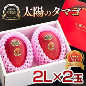 【ふるさと納税】西都市産 完熟マンゴー「太陽のタマゴ」2L×2玉 宮崎県 化粧箱入り 先行予約 ＜26-5a＞ 果物 フルーツ US