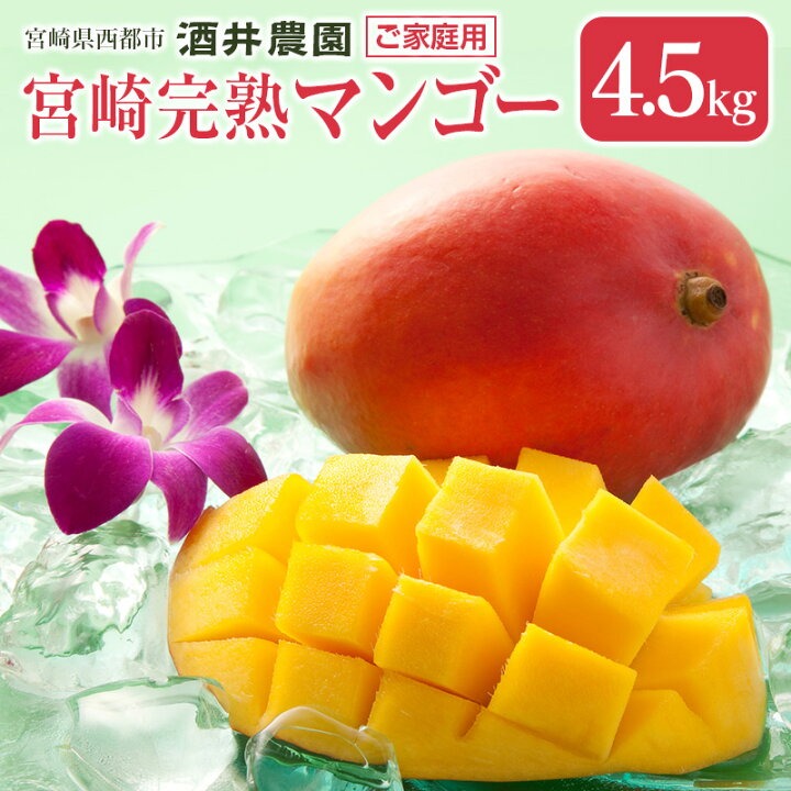 楽天市場】【ふるさと納税】酒井農園 完熟マンゴー4.5kg「訳あり」ご 
