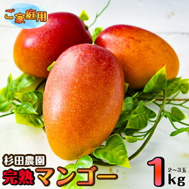 【ふるさと納税】杉田農園 完熟マンゴー約1kg「訳あり」ご家庭用（西都産）＜1.1-1＞ふるさと納税 訳あり 宮崎県 西都市産 人気 さいと サイト ふるさと 宮崎