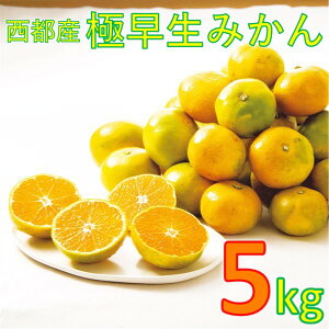 yӂ邳Ɣ[ŁzssYu݂v5kg@{茧 In͔|  ɑ 1-219