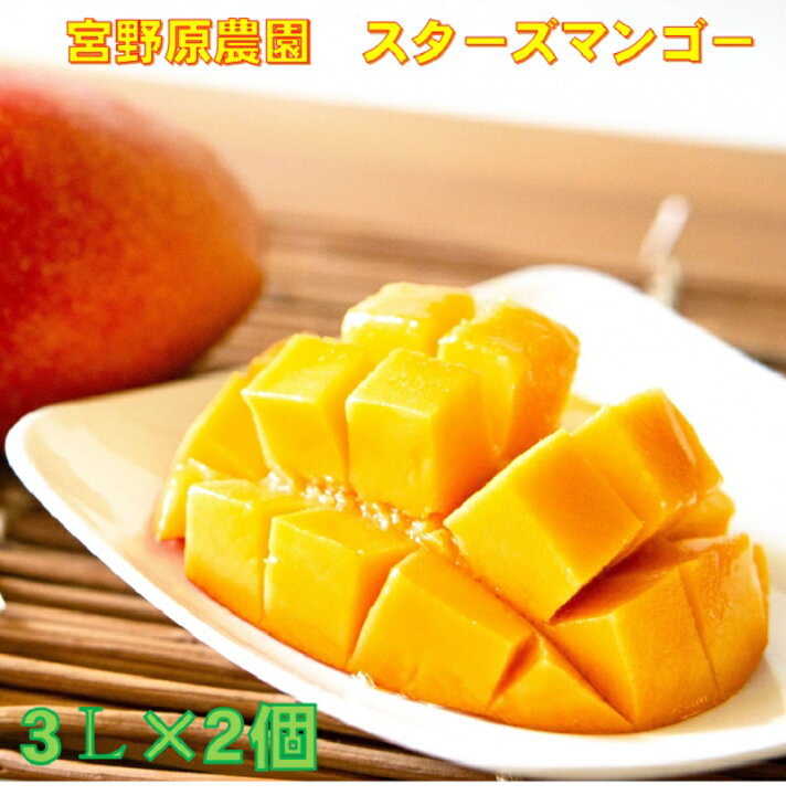 楽天市場】【ふるさと納税】 宮崎完熟マンゴー（大玉3L×2個）宮野原 