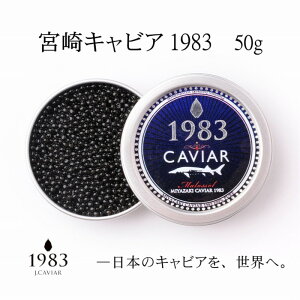 yӂ邳Ɣ[Łz{LrA1983i50gj MIYAZAKI CAVIAR1983uYvLrA10-4WpLrA