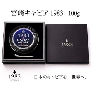 yӂ邳Ɣ[Łzw{LrA1983x100guMIYAZAKI CAVIAR1983vY18-1WpLrA