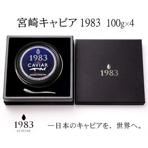 yӂ邳Ɣ[Łzw{LrA1983x100g×4uMIYAZAKI CAVIAR1983vY WpLrA72-1