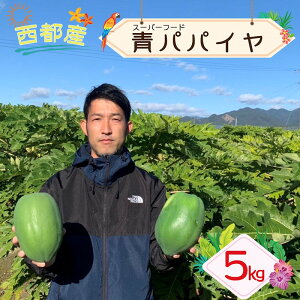 yӂ邳Ɣ[ŁzssYwppCx5kg Y {茧i4`7j1-234