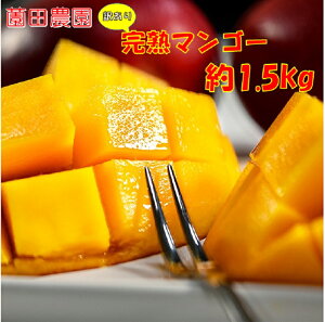 yӂ邳Ɣ[Łzuc_v󂠂 {芮n}S[ 1.5kgi3`5ʁjuyVvss }S[R8Nnus\v ʕ t[c1.8-30