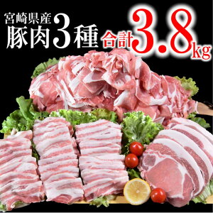 yӂ邳Ɣ[Łz{茧Y ؓy 3,800gz3Zbgi[XƂ񂩂E؃oēE؂藎Ƃj1.6-31 ӂ邳Ɣ[ ē ؓ Y 󂠂 Hה 