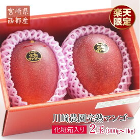 【ふるさと納税】西都市「川崎農園」完熟マンゴー（2玉）【先行予約】「楽天限定」国産 宮崎県 合計900g以上 宮崎県 マンゴー 果物 フルーツ＜1.7-46＞
