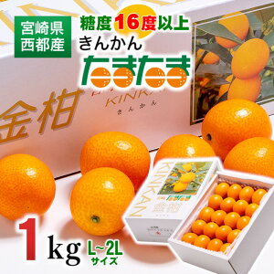 yӂ邳Ɣ[Łzn񂩂 ܂1kg {茧 ss k  {uhn񂩂 ܂邩 ʕ t[c1-136s\