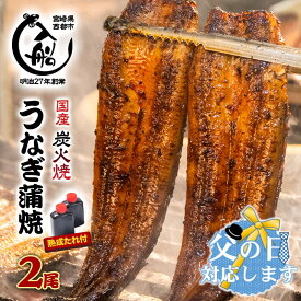 【ふるさと納税】炭火焼一筋130年「うなぎの入船」かば焼2尾(熟成たれ付）国産 うなぎ 鰻 手焼き 備長炭 お惣菜 小分け 真空パック 送料無料 父の日 さいとし サイト