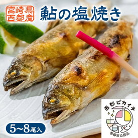【ふるさと納税】鮎の塩焼きギフト（5〜8尾入り）個包装 あゆ 宮崎県 西都市「西都ピカイチ認定品」＜1.1-35＞『12/25受付まで年内発送』
