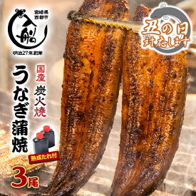 【ふるさと納税】炭火焼一筋130年「うなぎの入船」かば焼3尾（熟成たれ付）国産 うなぎ 手焼き 備長炭 炭火焼 小分け 真空パック 送料無料 父の日 丑の日 さいとし サイト