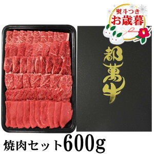 【ふるさと納税】都萬牛 焼肉セット600g ふるさと納税 黒毛和牛 焼肉 国産 牛肉 部位おまかせ<2-24>お歳暮ギフト対応可