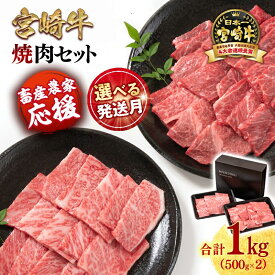 【ふるさと納税】「宮崎牛」焼肉セット 合計1kg『畜産農家応援』「数量限定」令和7年度和牛肉販売促進等支援緊急対策事業 宮崎県 西都市 赤身と肩ロース 牛 肉 牛肉 国産 宮崎牛 焼肉 黒毛和牛 数量限定 ミヤチク ＜1.7-40＞ ●☆