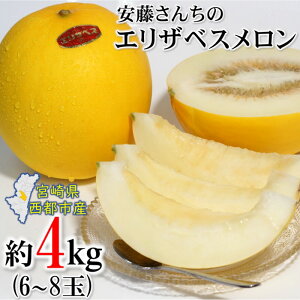 yӂ邳Ɣ[Łz񂿂̃GUxXi4kgj6`8{茧 ss 1.2-38s\