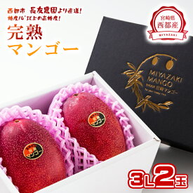 【ふるさと納税】長友農園 完熟マンゴー「3L×2玉」 宮崎県 西都産 化粧箱＜1.7-44＞令和8年収穫分 先行予約