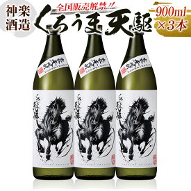 【ふるさと納税】くろうま天駆 乙類25° 麦焼酎 デスペラードボトル 900ml×3本