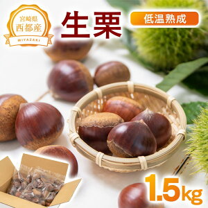yӂ邳Ɣ[ŁzቷnuIv1.5kg Y {茧 ss 聃1.5-220
