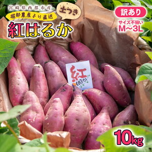 yӂ邳Ɣ[Łzy󂠂zn g͂邩10kgi5kg×2jM`3L {茧 ssY ܂ Ï yt  s\
