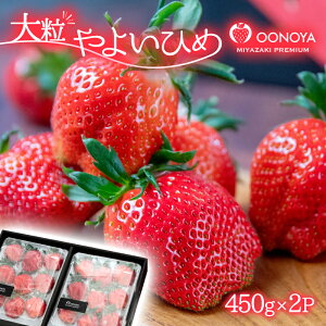 yӂ邳Ɣ[Łz䕑쉮@I嗱u悢Ђ߁v(450g×2j{茧 ss C`S ʕ t[c3-51s\