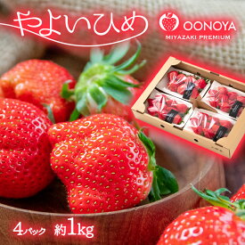 【ふるさと納税】苺大野屋「やよいひめ」4パック（約1kg）宮崎県 西都市産 いちご 訳あり たっぷりご家庭用 ふぞろい さいと サイト 先行予約 果物 フルーツ＜2-104＞