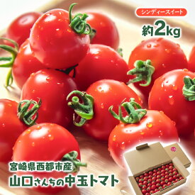 【ふるさと納税】山口さんちの 中玉トマト（約2kg）シンディースイート 宮崎県 西都市 先行予約 野菜 とまと 赤＜1-280＞★