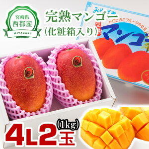 yӂ邳Ɣ[ŁzssY n}S[4L×2ʁi1kgjx12xȏ {茧 ϔ s\ ʌ聃1.5-178 ʕ t[c US