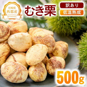 yӂ邳Ɣ[Łz󂠂聄ቷnuނIv500g Y {茧 ss 聃1.1-19