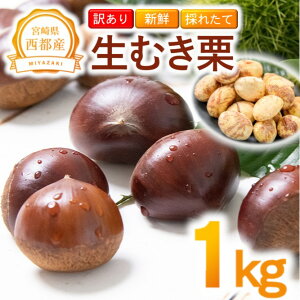 yӂ邳Ɣ[Łz󂠂聄VN̂uނIv1kg Y {茧 ss 聃1.1-20