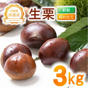 yӂ邳Ɣ[ŁzVNuIv3kg Y {茧 ss 聃1.4-23