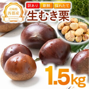 yӂ邳Ɣ[Łz󂠂聄VN̂uނIv1.5kg Y {茧 ss 聃1.5-221