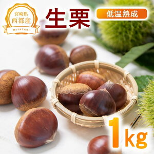 yӂ邳Ɣ[ŁzቷnuIv1kg Y {茧 ss 聃1-289