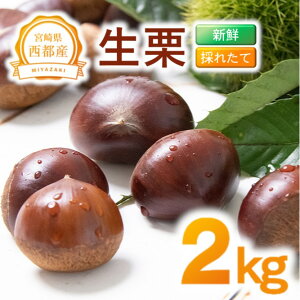 yӂ邳Ɣ[ŁzVNuIv2kg Y {茧 ss 聃1-283