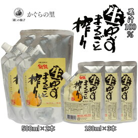 【ふるさと納税】（D）「銀の柚子」生ゆずまるごと搾りセット 国産 宮崎県 西都市産＜2-31＞