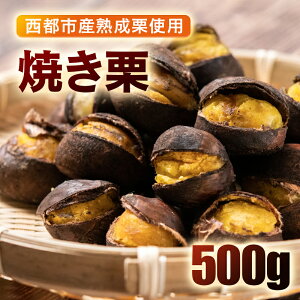 yӂ邳Ɣ[ŁzYaȈĂIi250g×2P) Y ቷn {茧 ss s\1-288