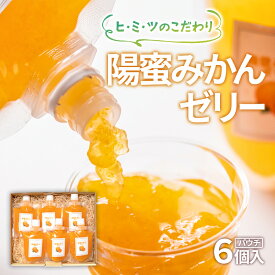 【ふるさと納税】陽蜜みかんゼリー飲めるパウチタイプ（170g×6個）西都市産陽蜜みかん 常温