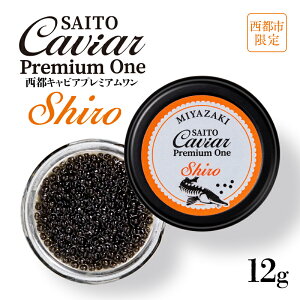 yӂ邳Ɣ[ŁzLrASAITO CAVIAR PREMIUM ONE SHIROi12gjusvuYvLrA3.8-1ss ϔ VFXv[t