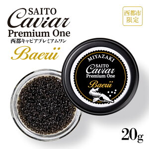 yӂ邳Ɣ[ŁzLrASAITO CAVIAR PREMIUM ONE BAERIIi20gjusvuYvLrA4.2-1ss ϔ VFXv[t