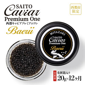 yӂ邳Ɣ[ŁzyցzLrASAITO CAVIAR PREMIUM ONE BAERIIi20g×12jusvuYvLrA50-1ss ϔ VFXv[t