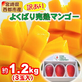 【ふるさと納税】よくばり完熟マンゴー（約1.2kg）スターフルーツカンパニー「訳あり」ご家庭用 宮崎県 西都産 宮崎完熟マンゴー ふるさと納税 訳あり＜1.7-30＞