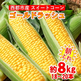 【ふるさと納税】朝どれ スイートコーン 約8kg ゴールドラッシュ（18本～20本）西都市【先行予約】宮崎県 Y