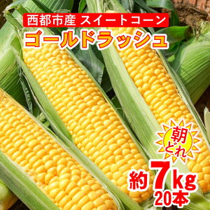 yӂ邳Ɣ[Łzǂ XC[gR[ 7kg S[hbVi20{jss {茧  TCg US