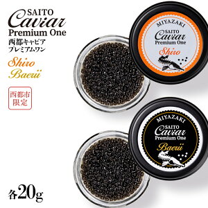 yӂ邳Ɣ[ŁzLrASAITO CAVIAR PREMIUM ONE SHIROBAERIIie20gjusvuYvLrA9-10ss ϔ VFXv[t
