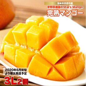 【ふるさと納税】宮野原農園　宮崎完熟「スターズマンゴー」3L×2個）【先行予約・数量限定】