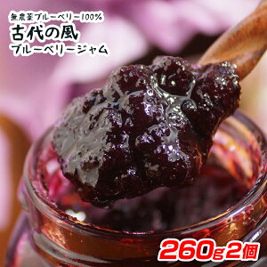 yӂ邳Ɣ[ŁzwÑ̕xYu[x[WBig 260g×2 {茧ssY1-131