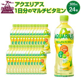 【ふるさと納税】アクエリアス 1日分のマルチビタミン PET 500ml×24本 1ケース【コカコーラ】水分補給 スポーツ飲料 清涼飲料水 常温 AQUARIUS コカ・コーラ 熱中症対策 送料無料 スポーツ 運動 ウォーキング ランニング マラソン レジャー アウトドア キャンプ 部活 少年団